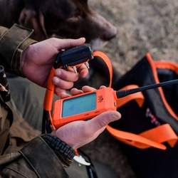 Dog Trace DOG GPS X30T Short - Such- und Ausbildungseinrichtungen für Hunde