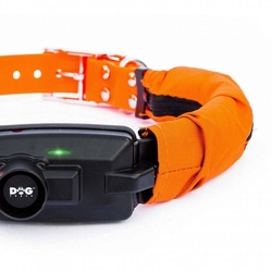 Dog Trace DOG GPS X30B, grün - Halsband für einen anderen Hund 