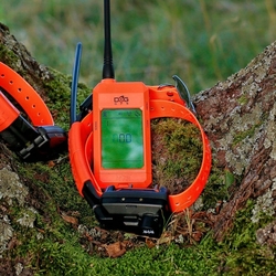 Dog Trace DOG GPS X25TB, grün - Halsband für einen anderen Hund 