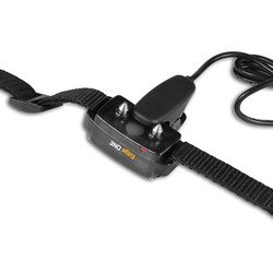 Dog Trace D-control Edge 250 ONE - Elektronisches Trainingshalsband für Hunde  - kopie