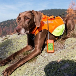 Dog Trace Schutzweste für Hunde DOG GPS - XS